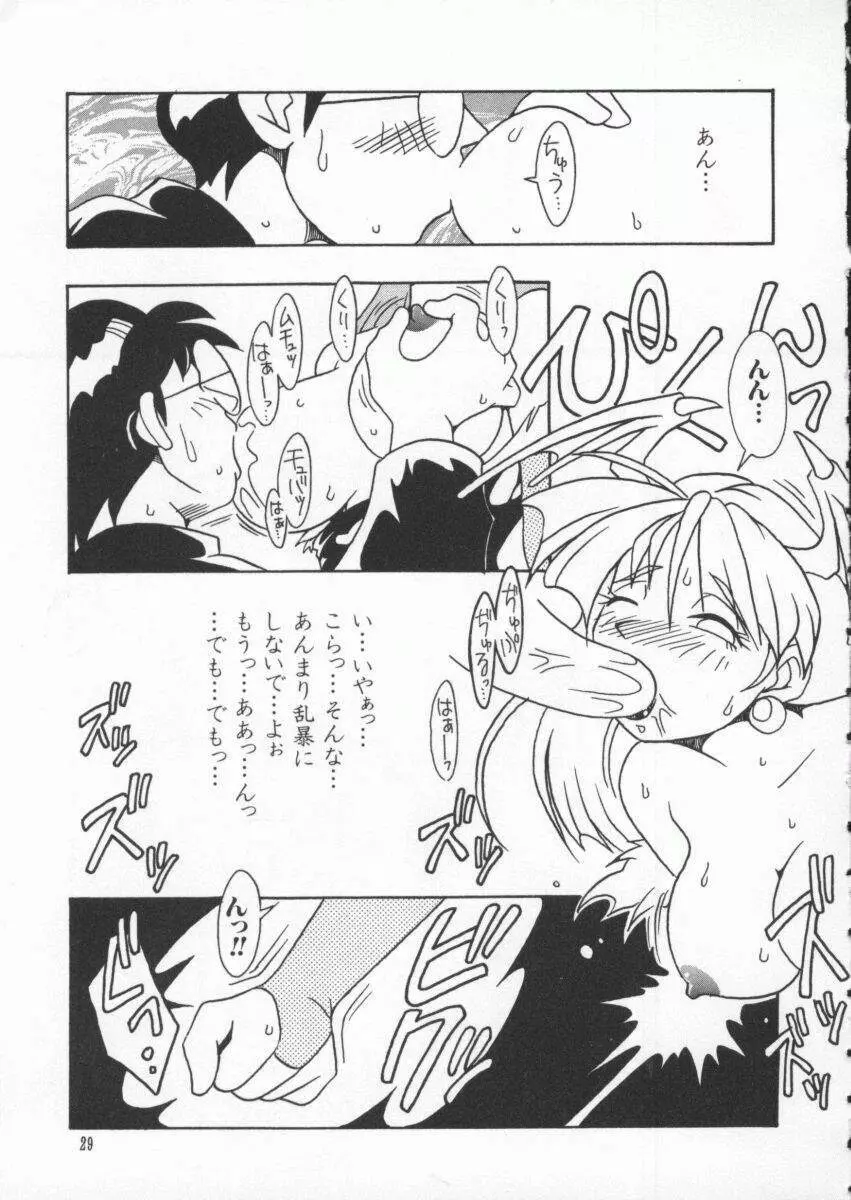 電脳武闘娘 九 Page.30