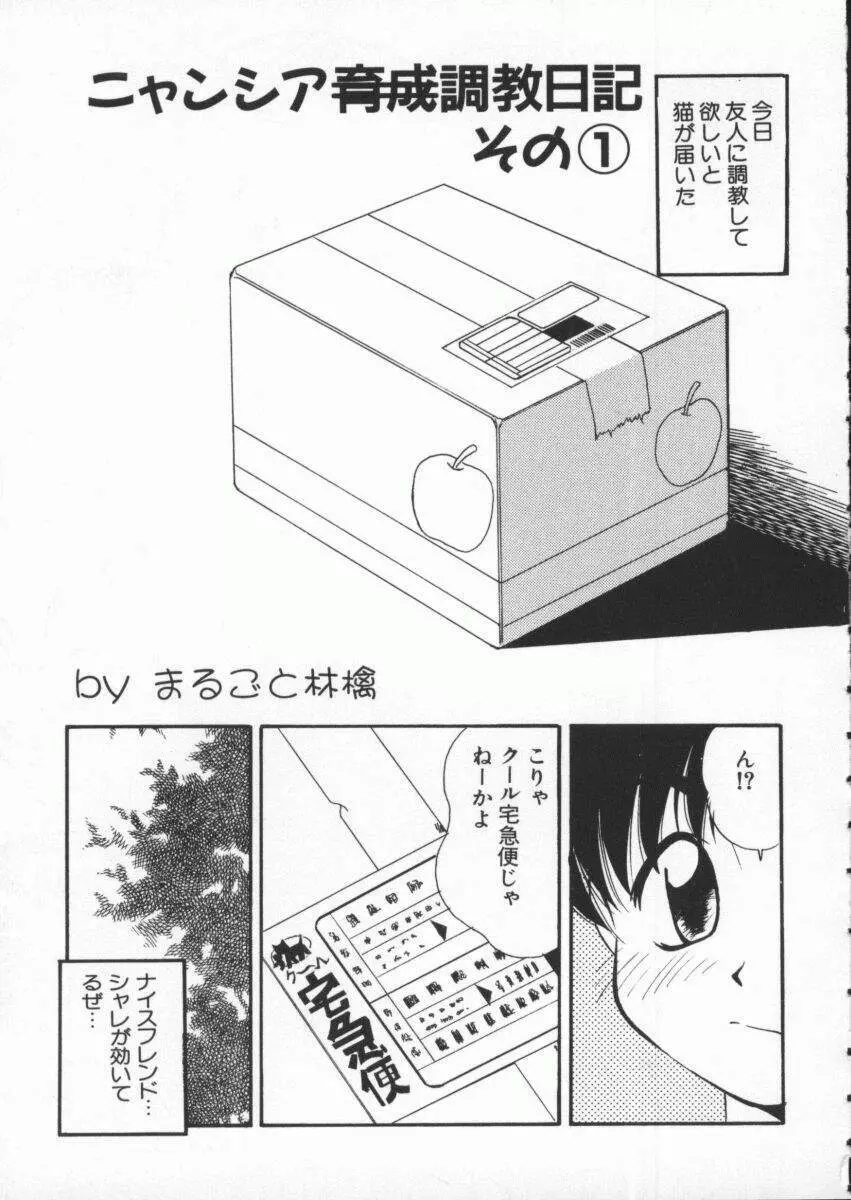 電脳武闘娘 九 Page.62