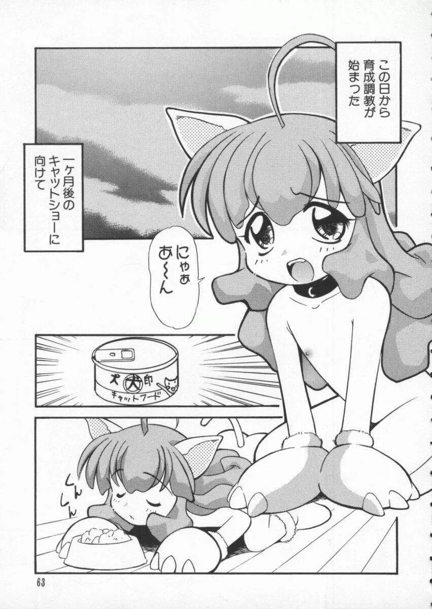 電脳武闘娘 九 Page.64