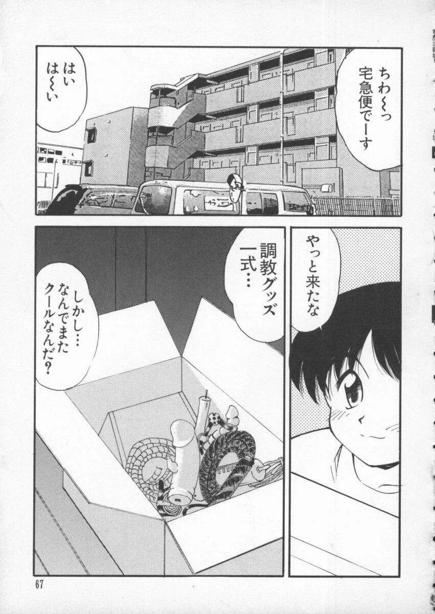 電脳武闘娘 九 Page.68