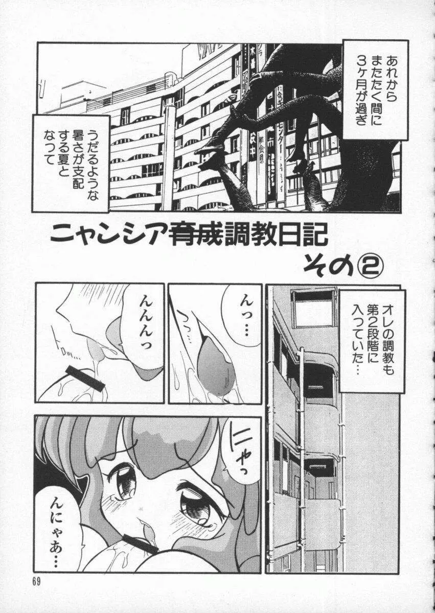 電脳武闘娘 九 Page.70