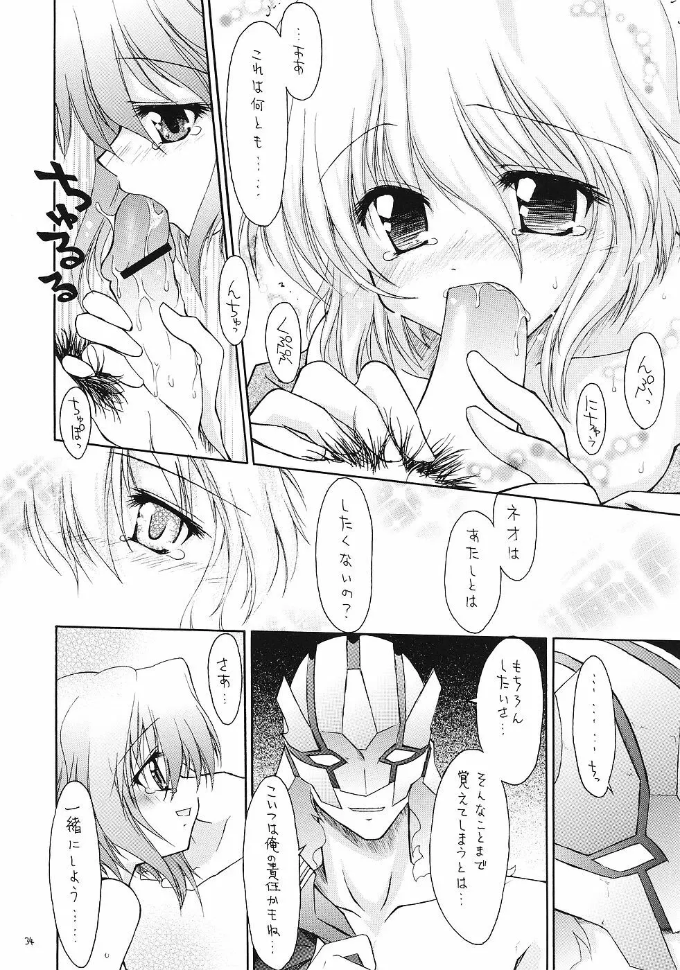飛龍 Page.33