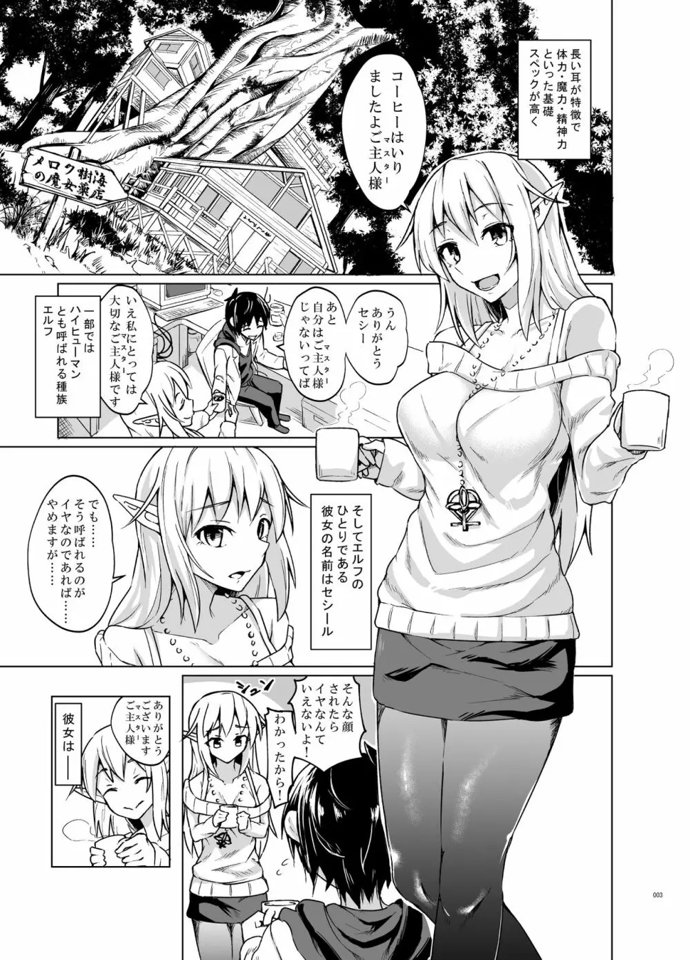 とあるエルフを引き取りまして Page.2