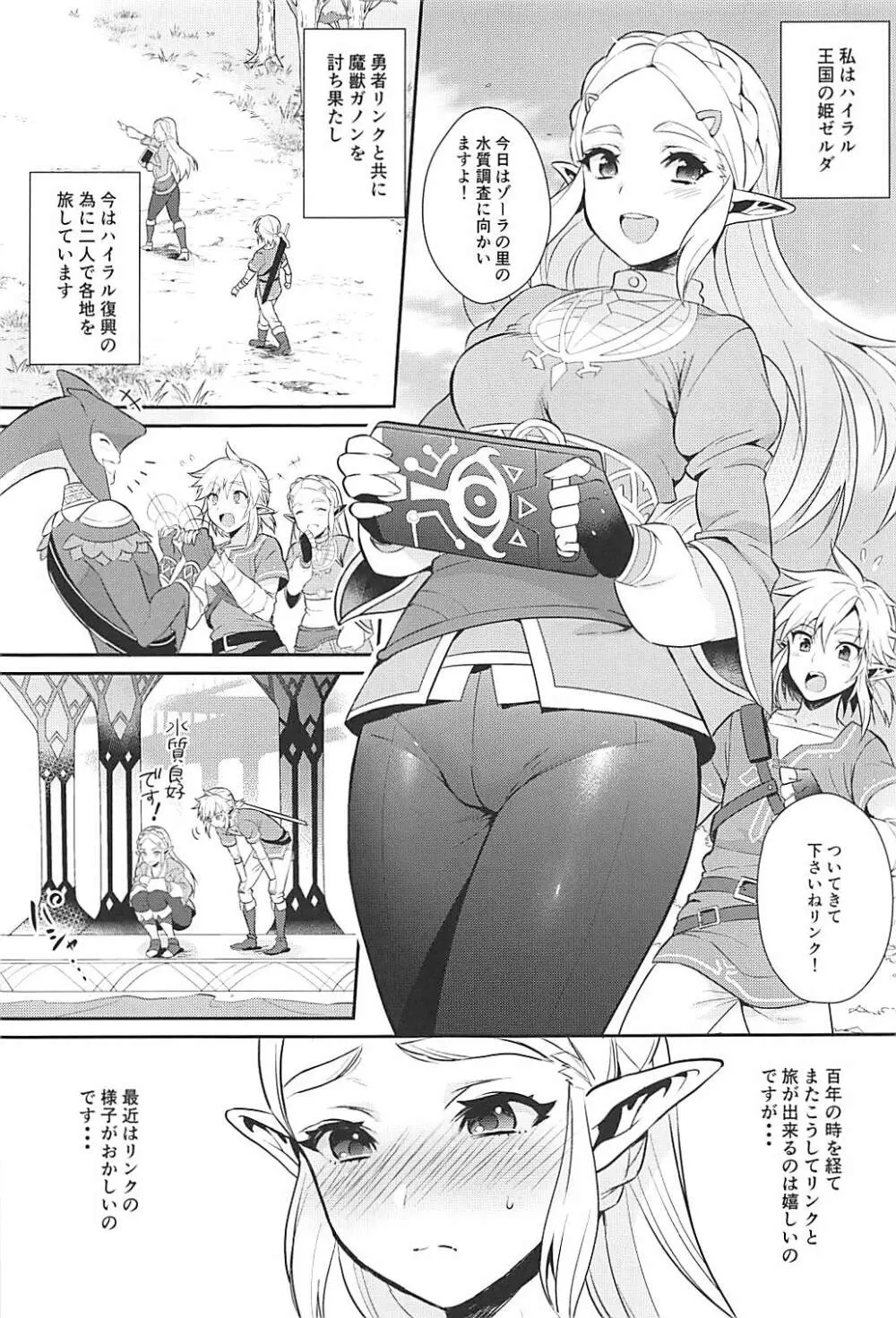 ハイラル繁栄のためのかつどう! Page.4