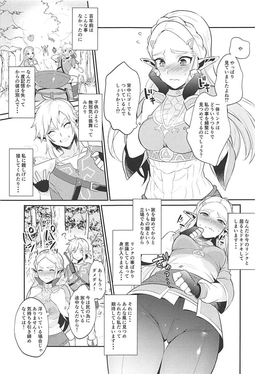 ハイラル繁栄のためのかつどう! Page.6