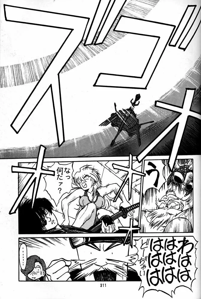 大キ林 Page.310