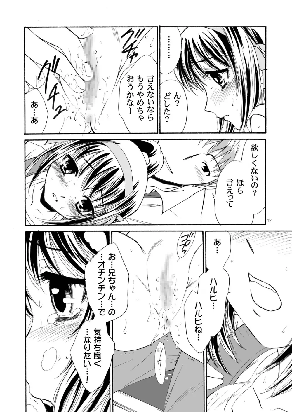 涼宮ハルヒさんの危険な愛体験 Page.13