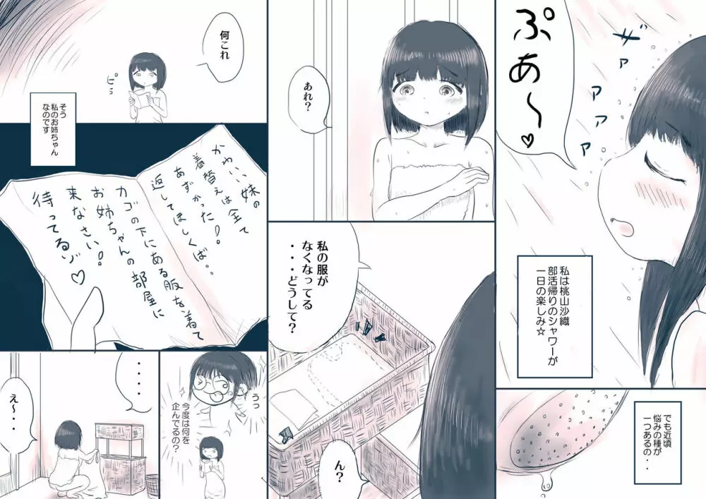 姉の完璧☆盗撮計画 Page.2