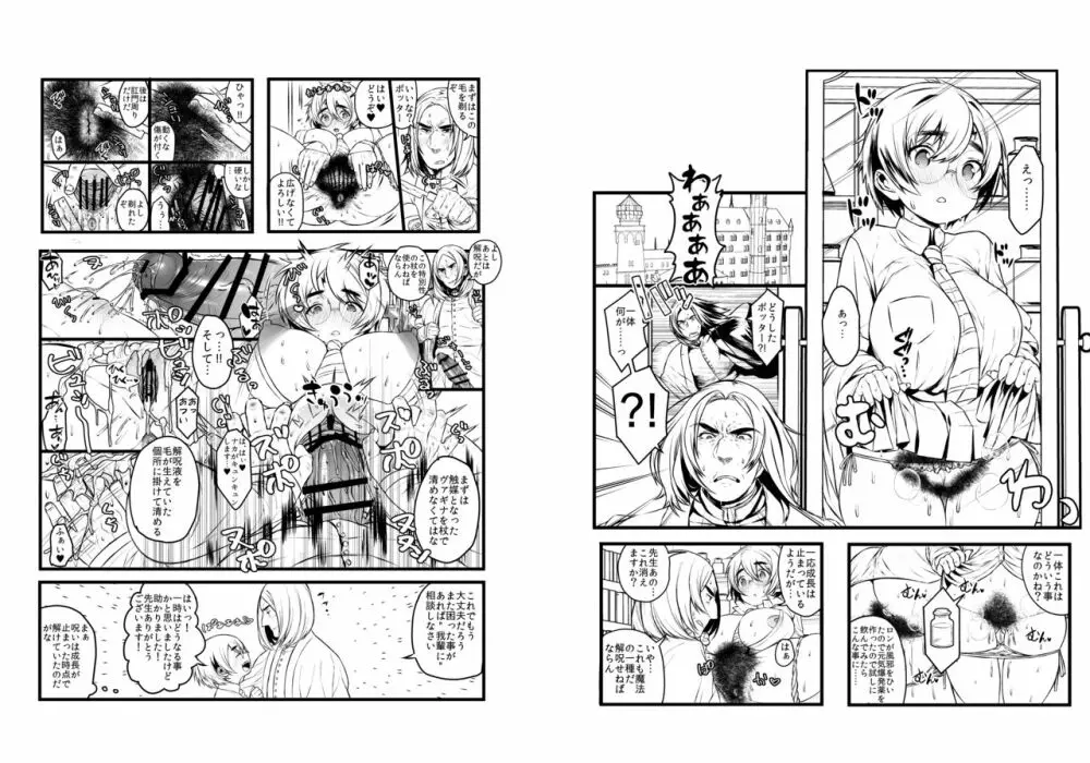 愛の妙薬準備号・改訂版 Page.12