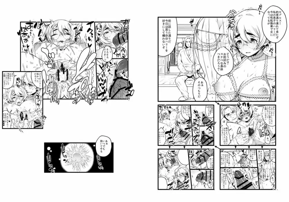愛の妙薬準備号・改訂版 Page.14