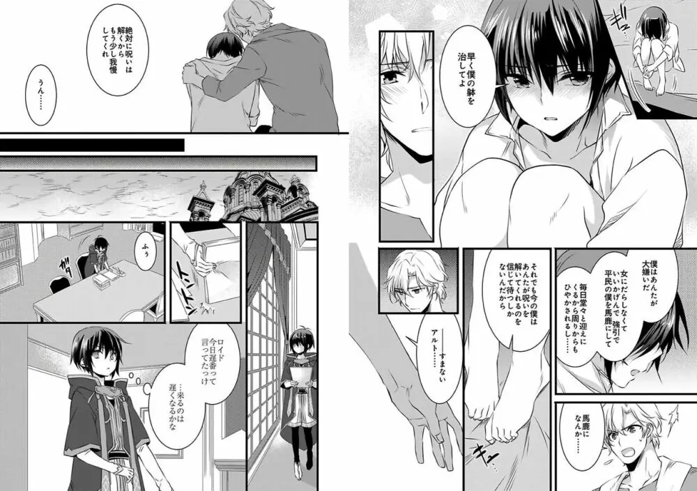 女体化した僕を騎士様達がねらってます ―男に戻る為には抱かれるしかありません!― 3 Page.11