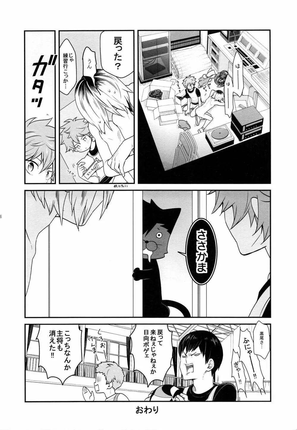 ヒナネコ2 Page.15