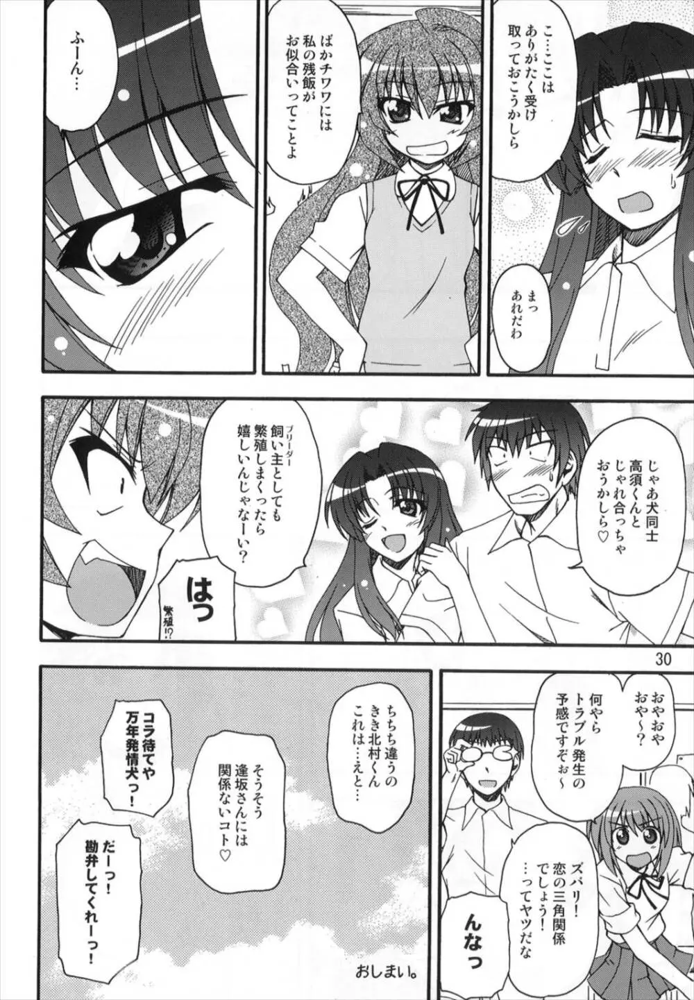 TAIGAX 2 Page.30