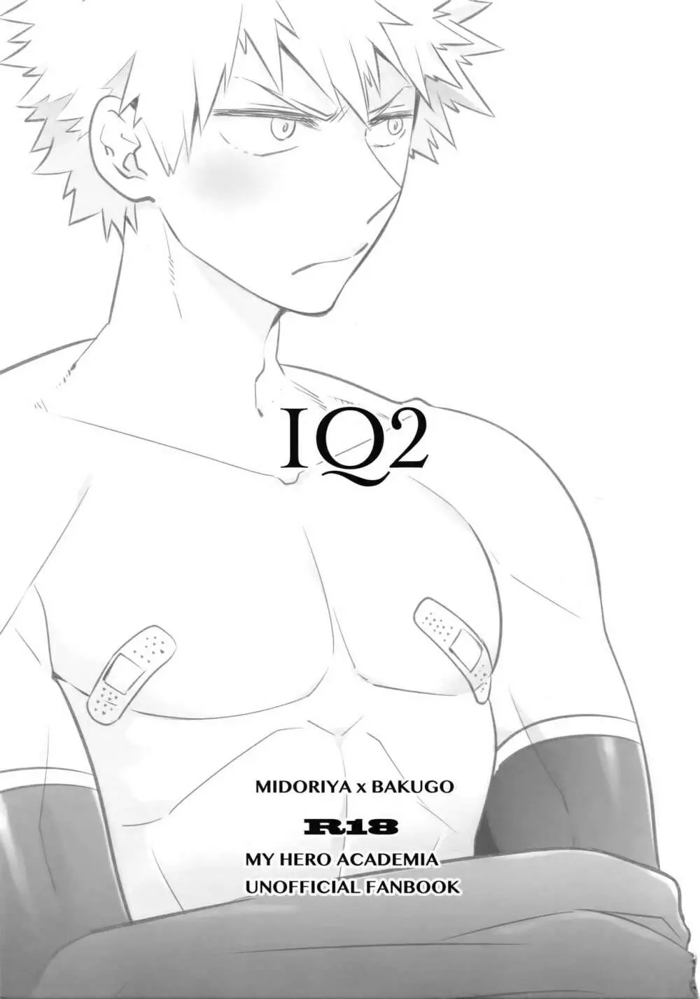 IQ2 Page.2