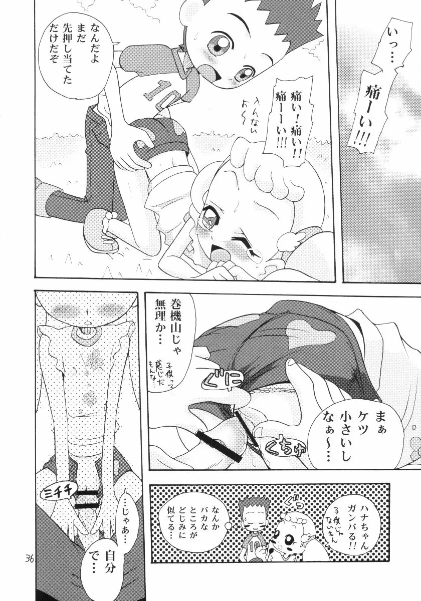 おはなみ 御花味 Page.35