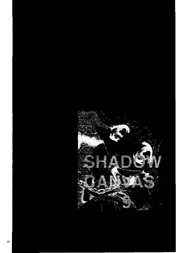 SHADOW CANVAS 9 Page.31