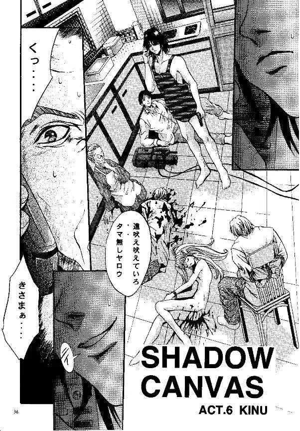 SHADOW CANVAS 9 Page.33