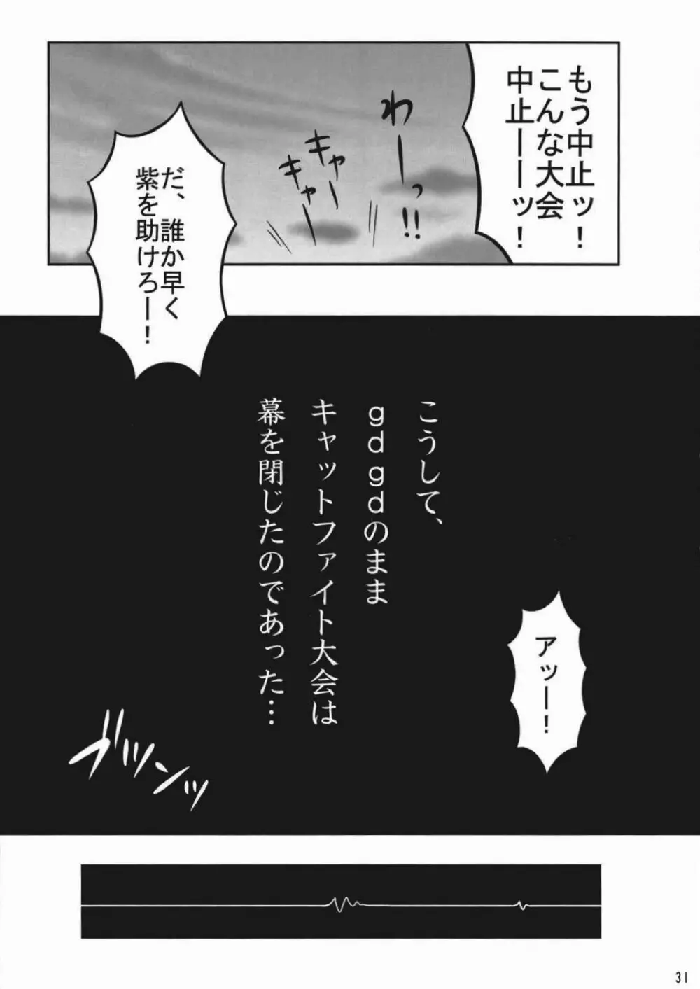 東方キャットファイトIV Page.29