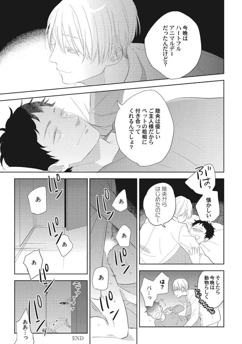 気まぐれご主人とおしかけ猫 Page.163