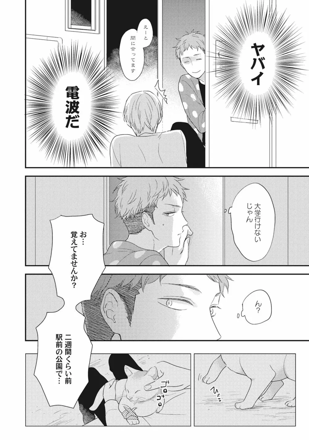 気まぐれご主人とおしかけ猫 Page.8