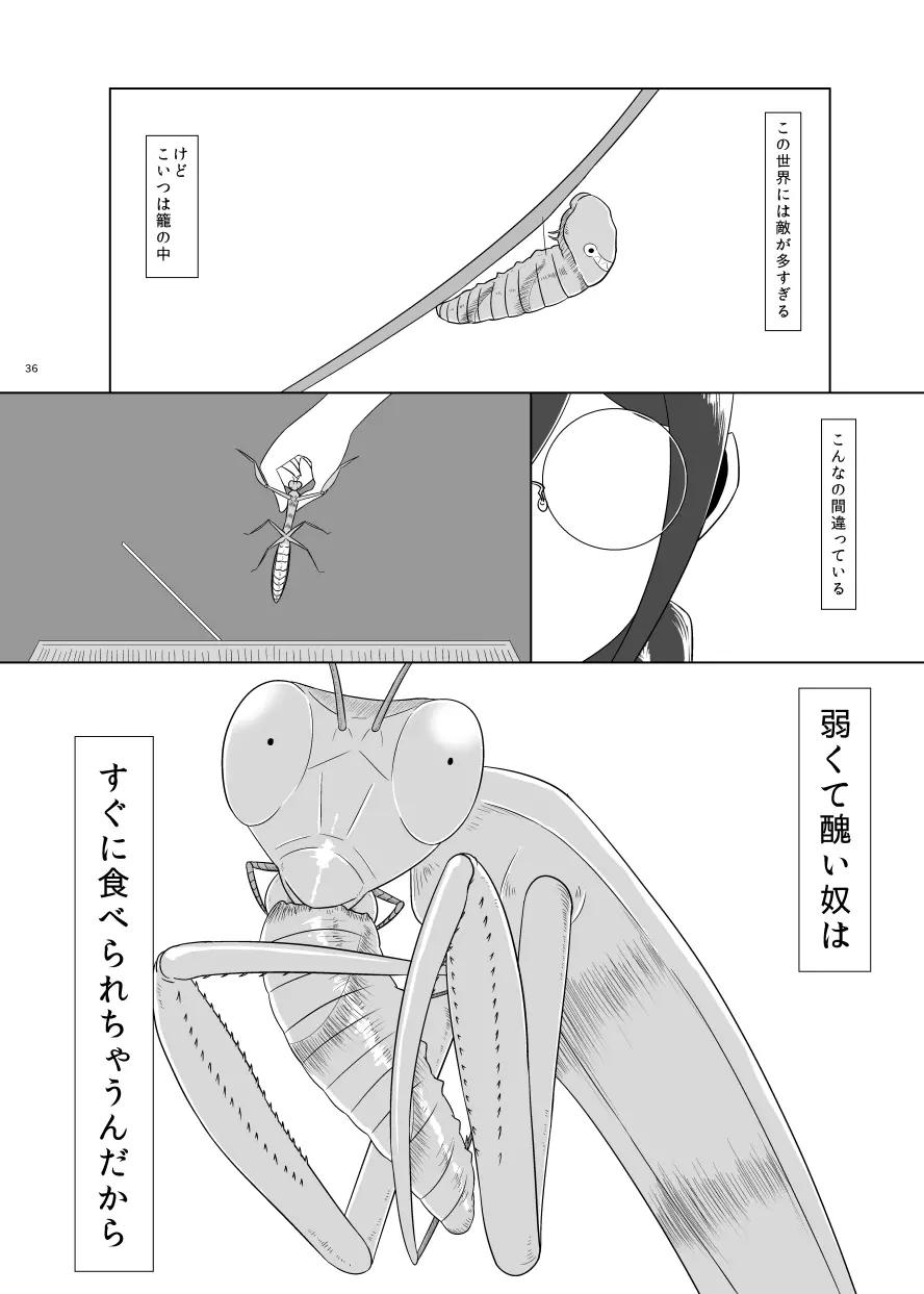 F川T子の犯罪 Page.35