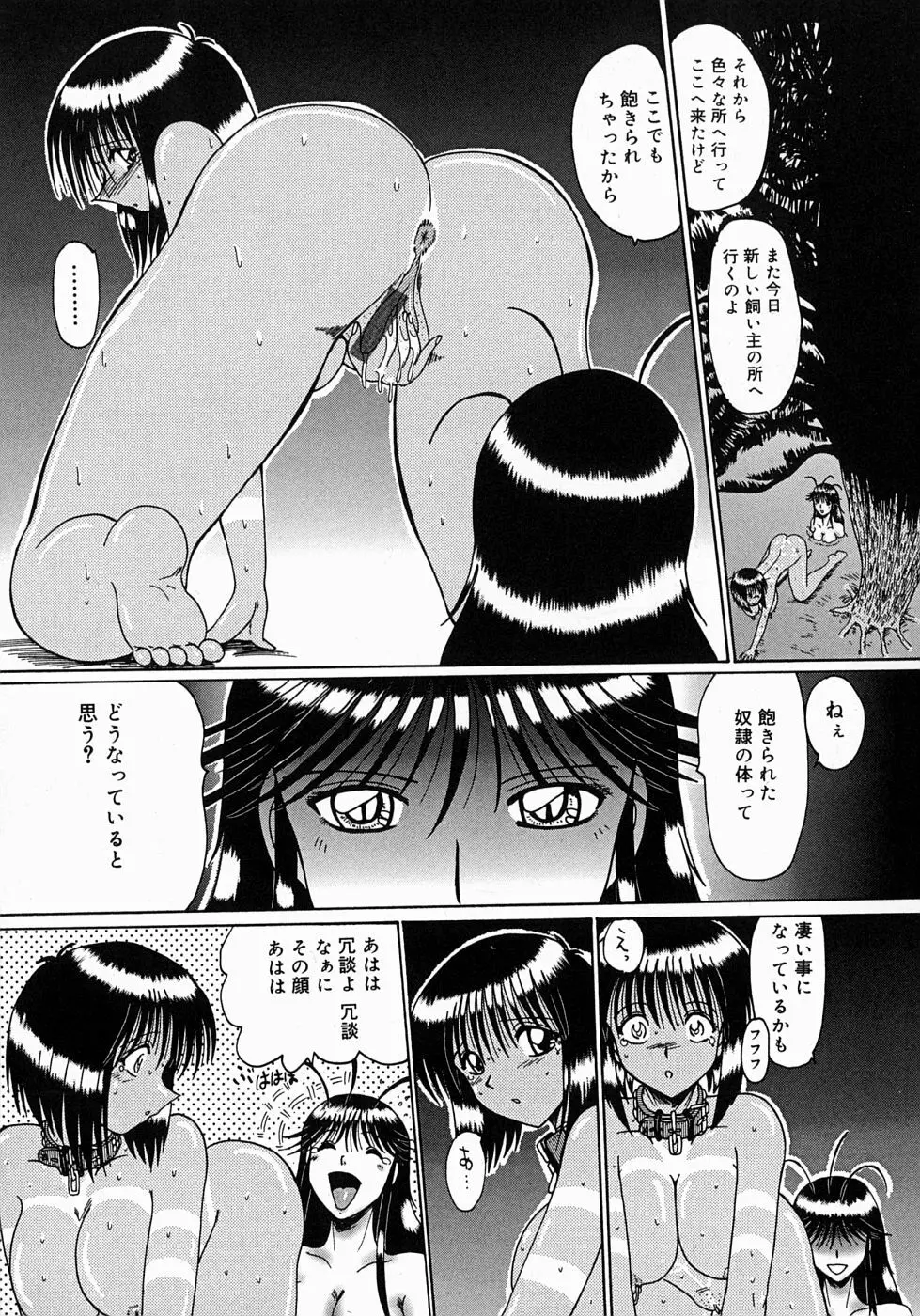 麻紀とマゾ奴隷達 Page.128
