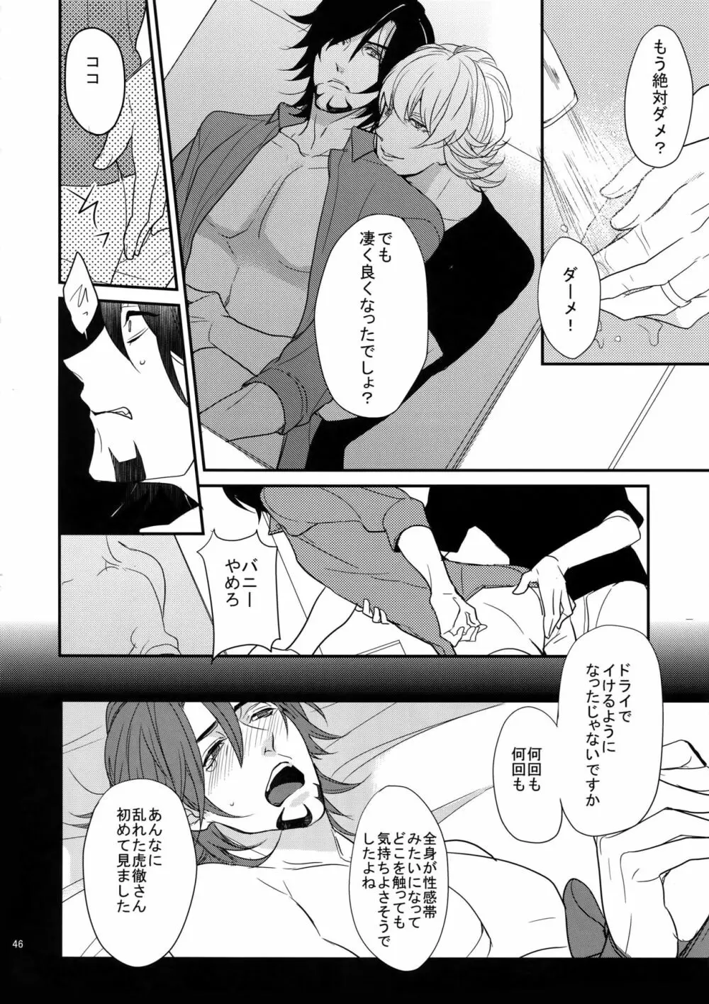 BOROZS兎虎再録 Page.45