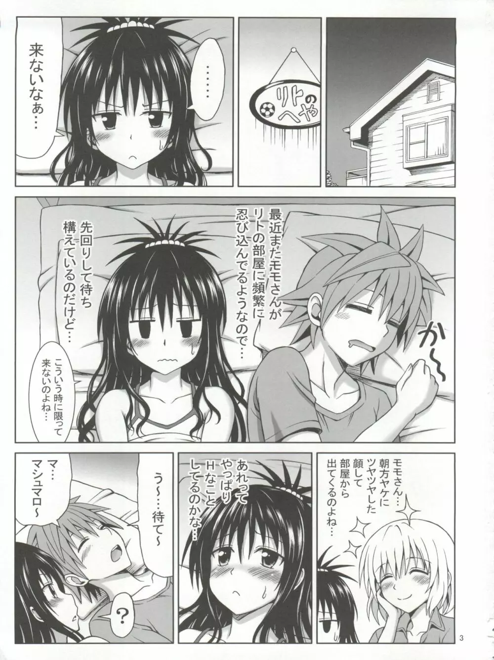 モモとミカンの果汁 Page.3