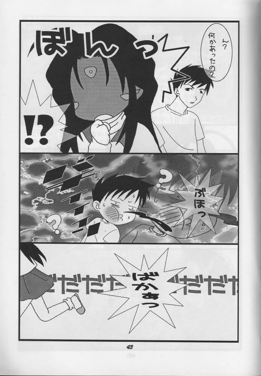 HOHETO 33 Page.43