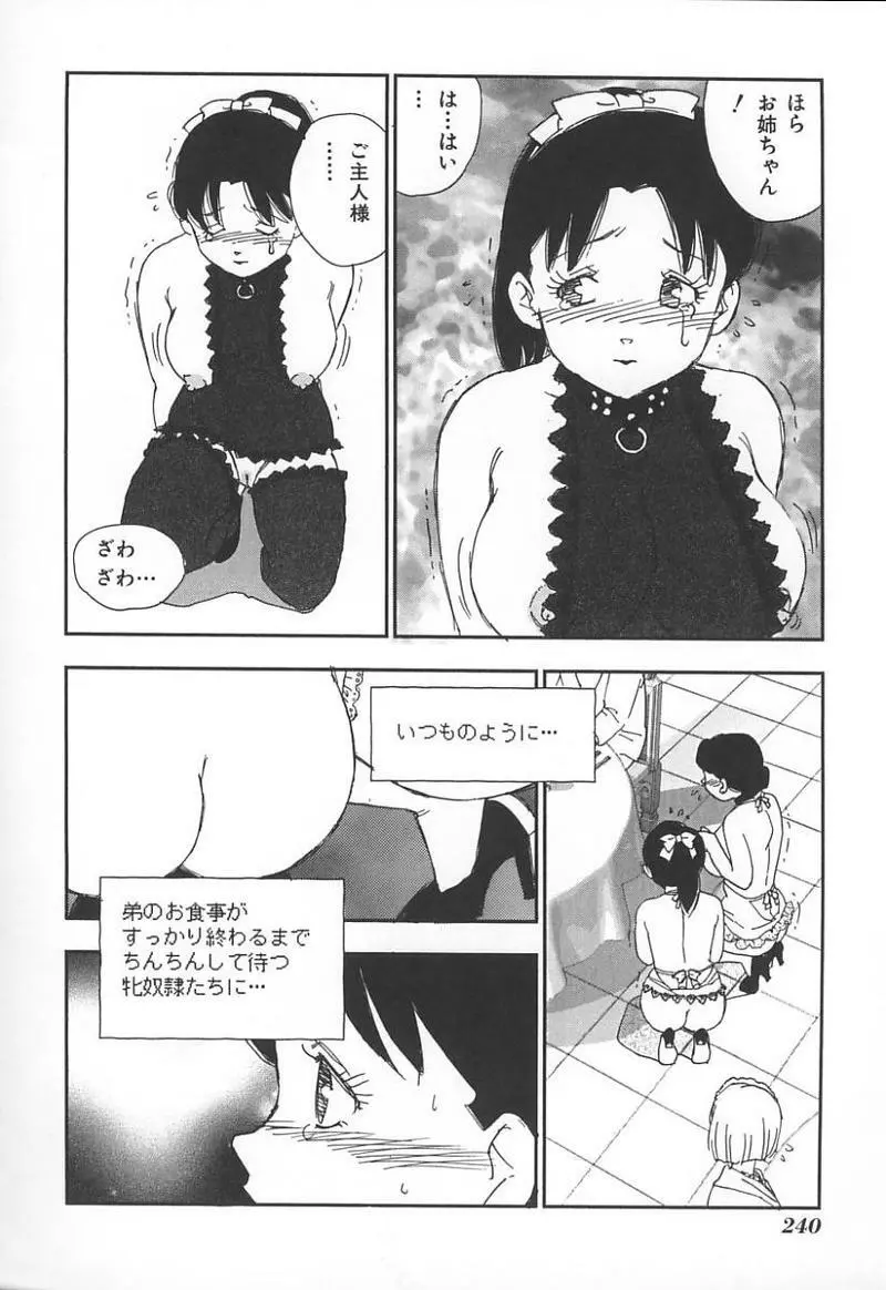 姉弟恋歌 3 Page.243