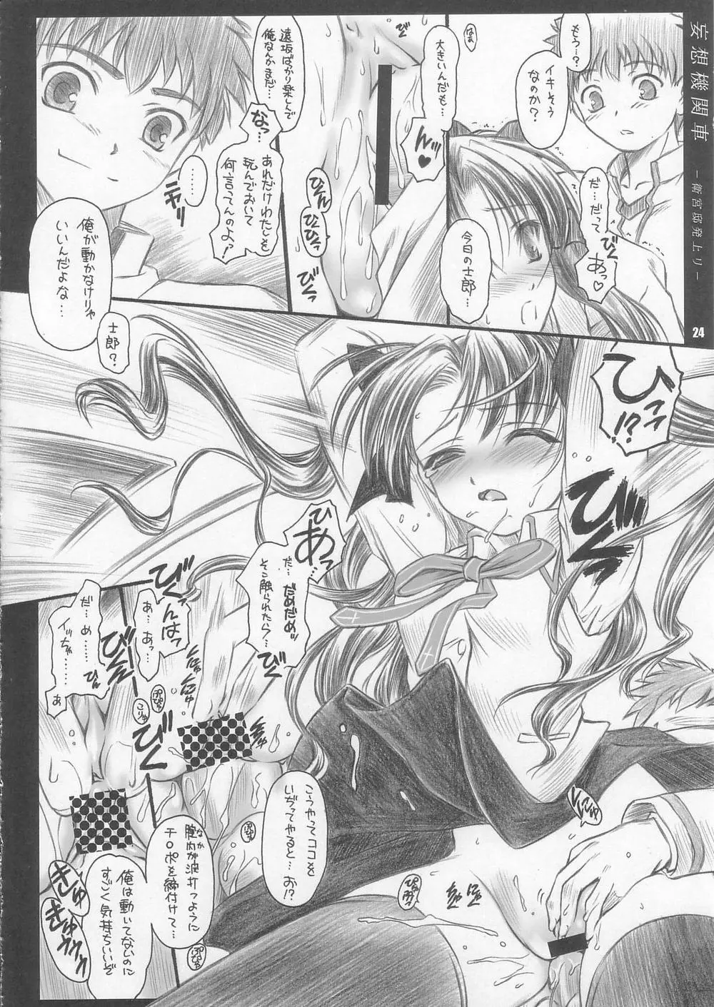 CATTLEYA 3 Page.23