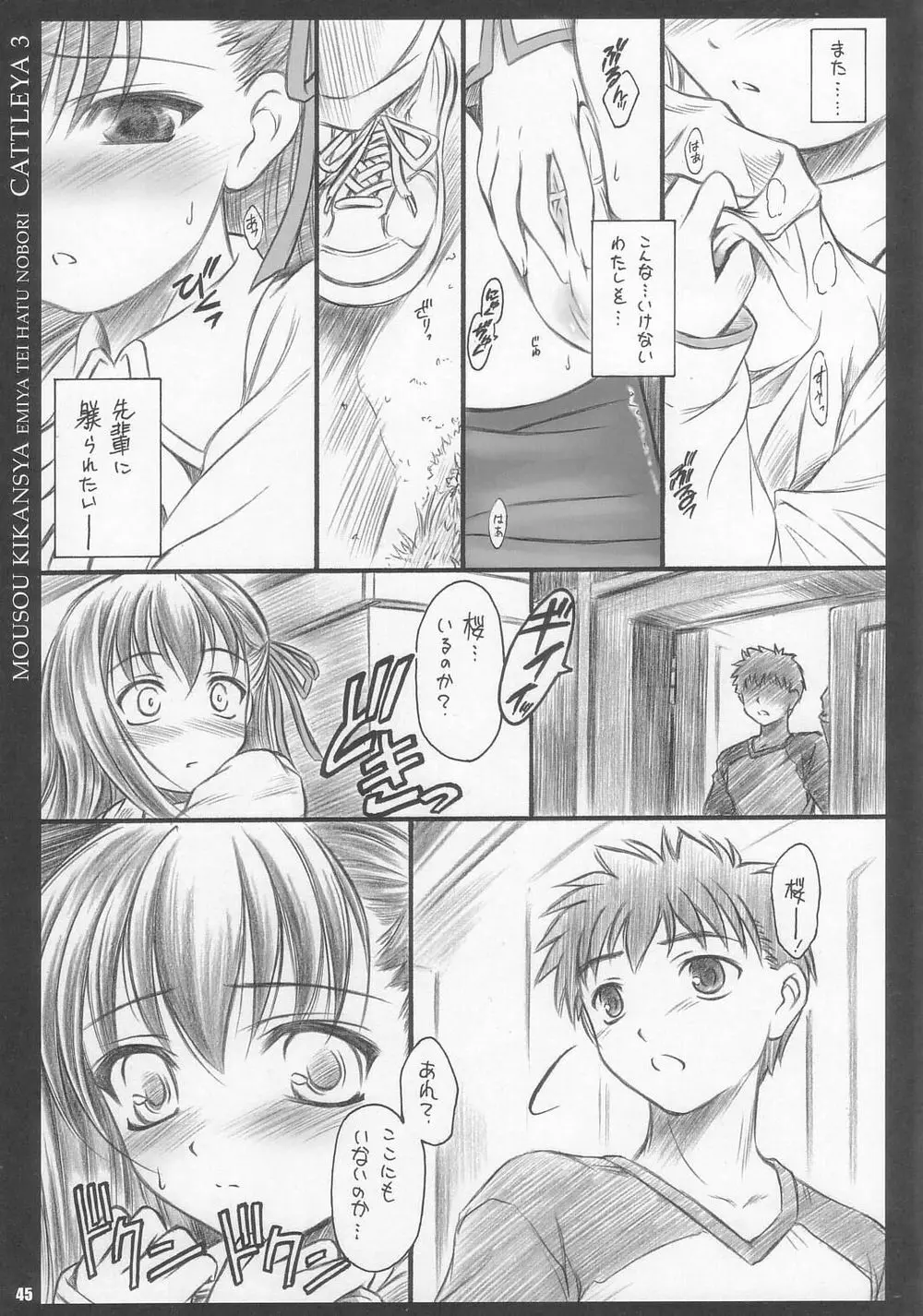 CATTLEYA 3 Page.44