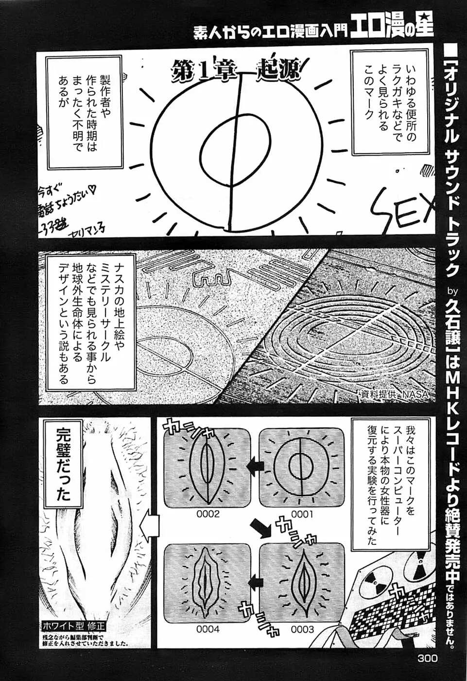 ヤングコミック 2008年7月号 Page.295