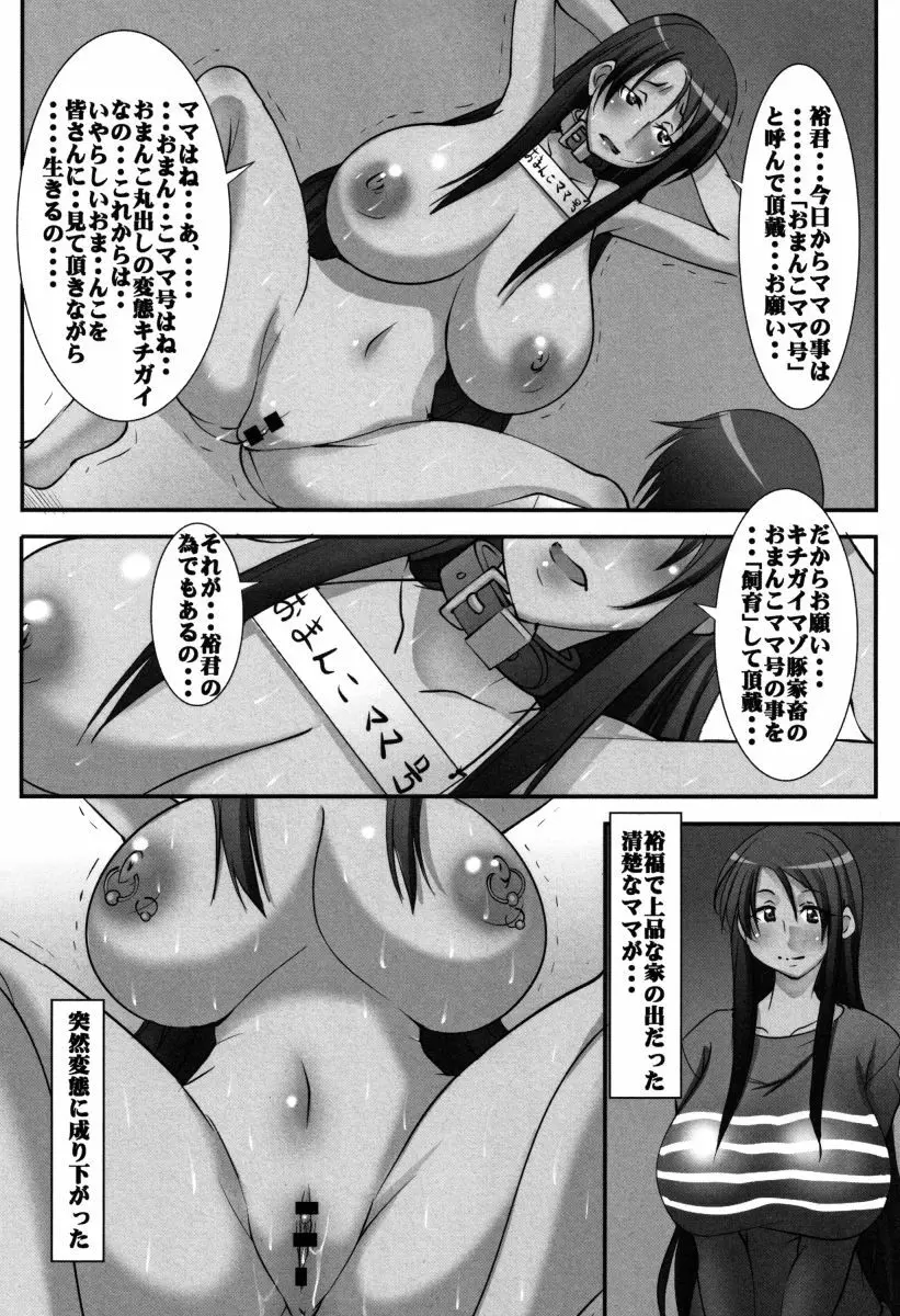 母体破滅 Page.13