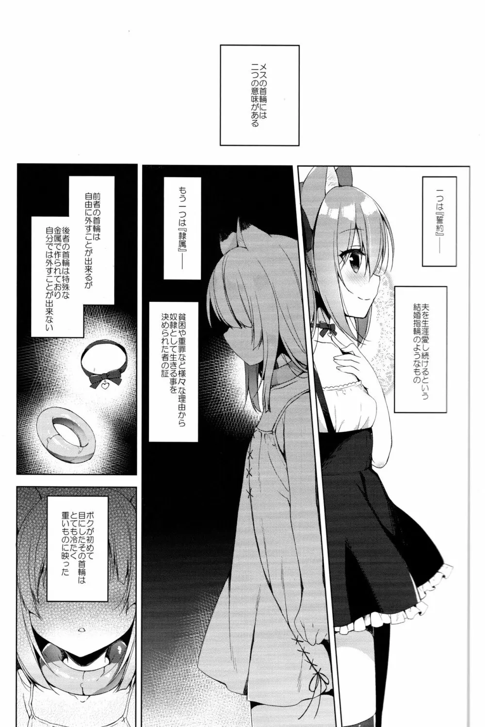 ボクの理想の異世界生活3 Page.5