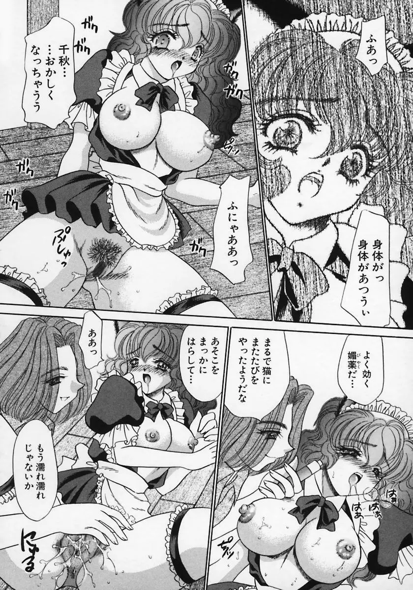 奴隷天国 -メイドパラダイス- Page.117