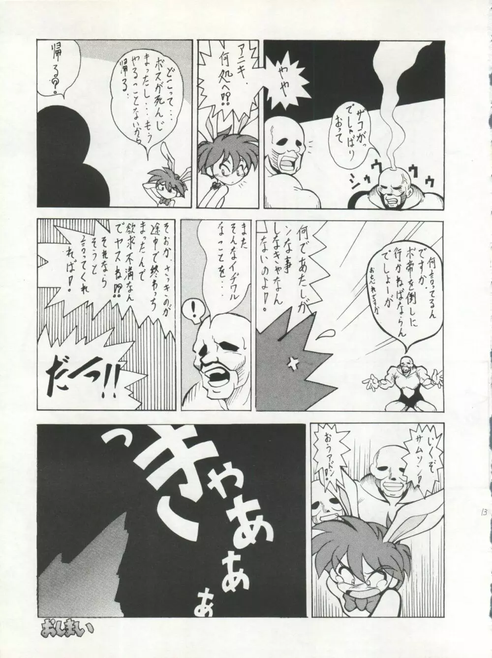 SAMPLE Vol.5 Page.13