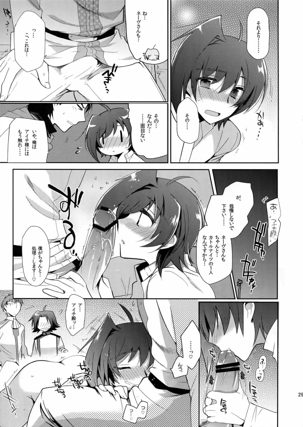 カトルナイツとアイチさま Page.28