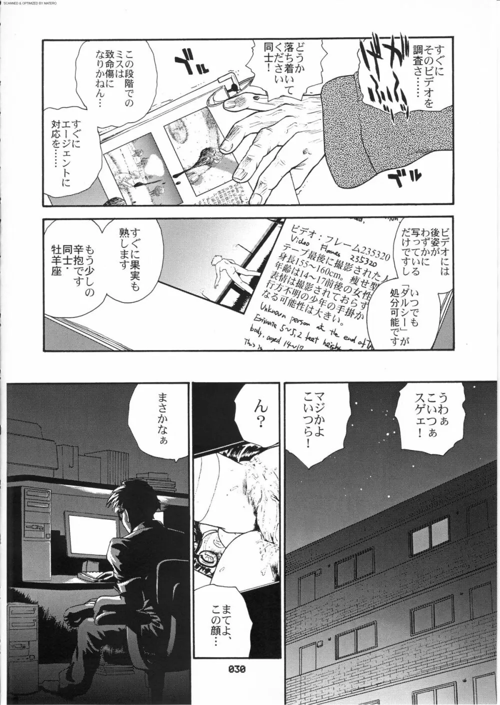 ダルシーレポート 3 Page.29
