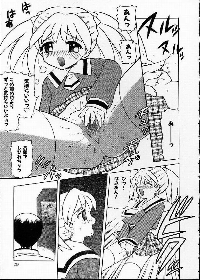 花の実の熟するとき... Page.29