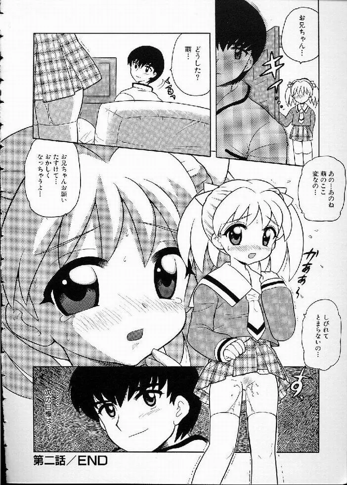 花の実の熟するとき... Page.38