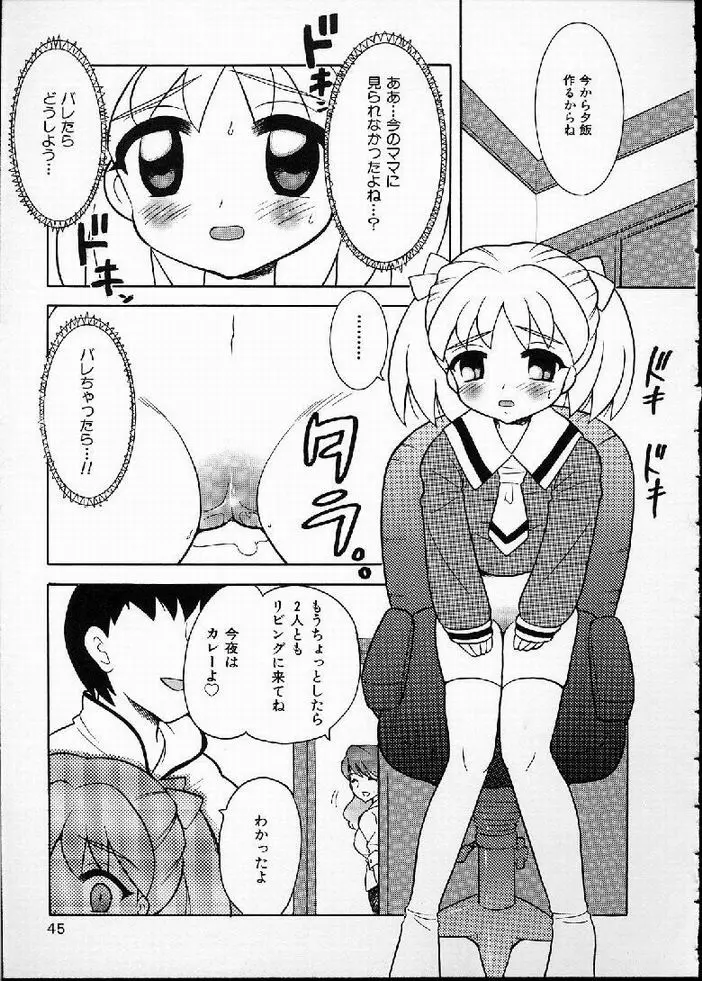 花の実の熟するとき... Page.45