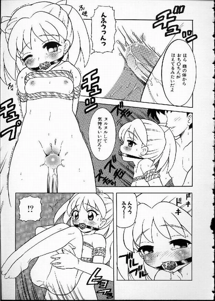 花の実の熟するとき... Page.51