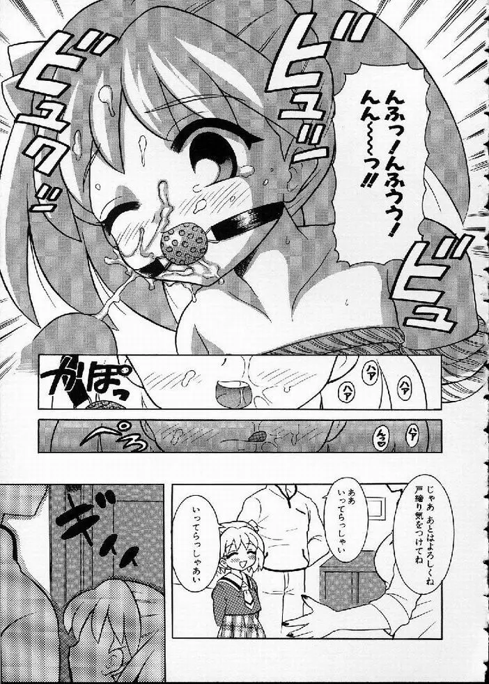 花の実の熟するとき... Page.53