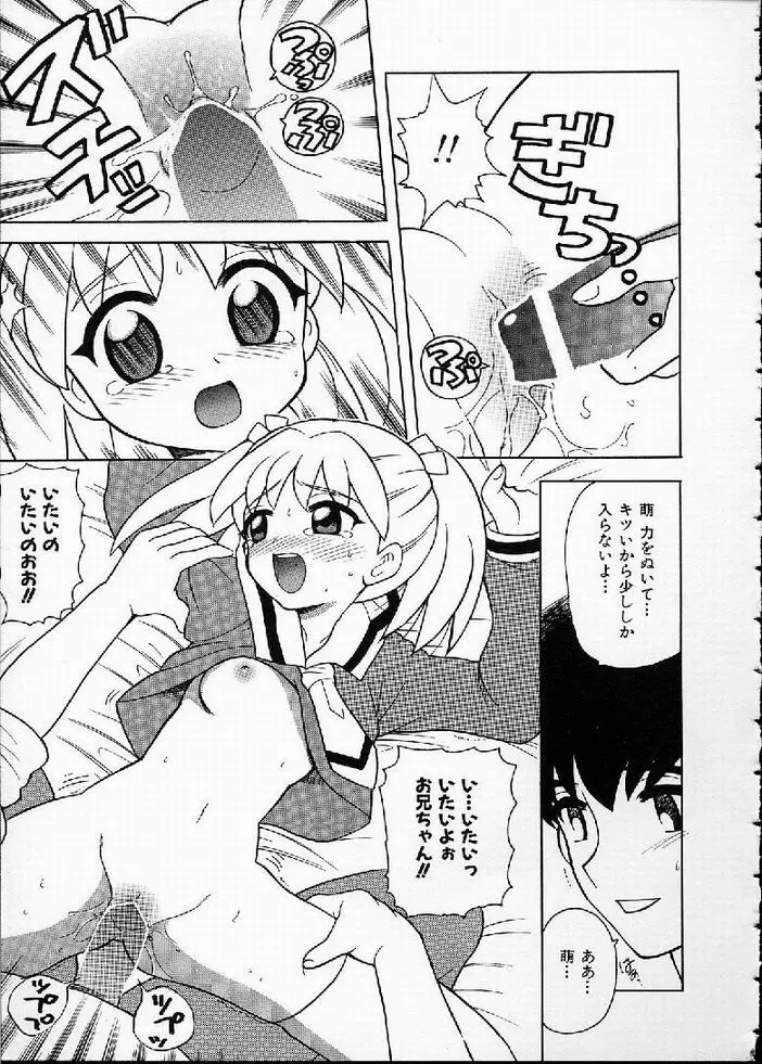 花の実の熟するとき... Page.65