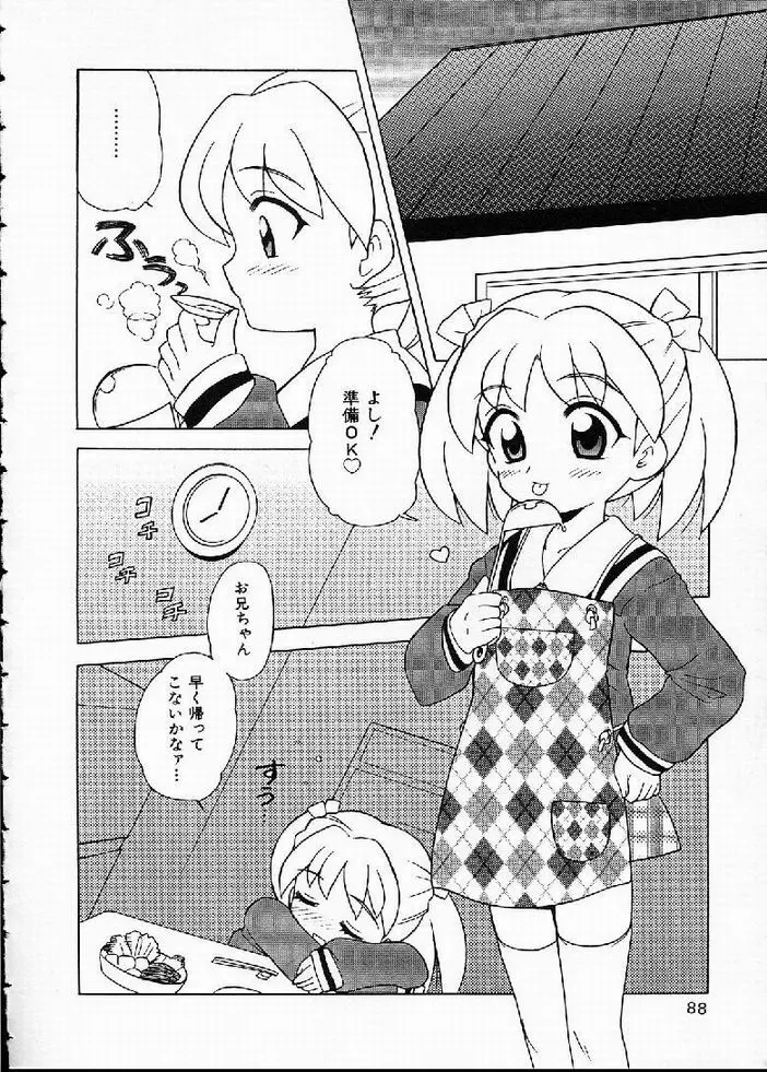 花の実の熟するとき... Page.89