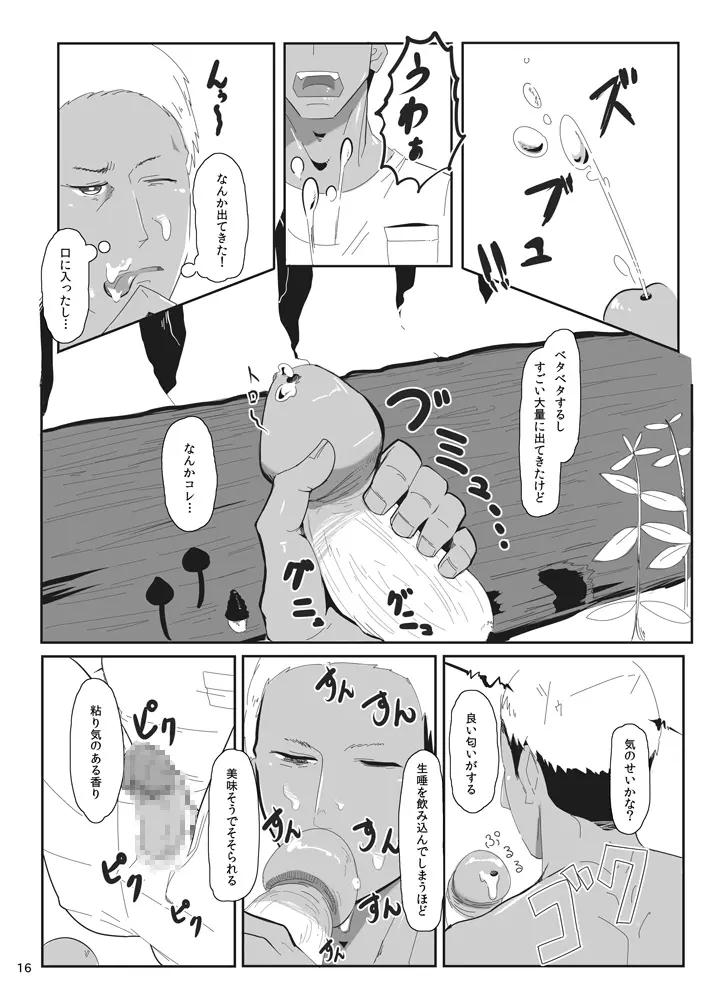 オノコノキノコ Page.16