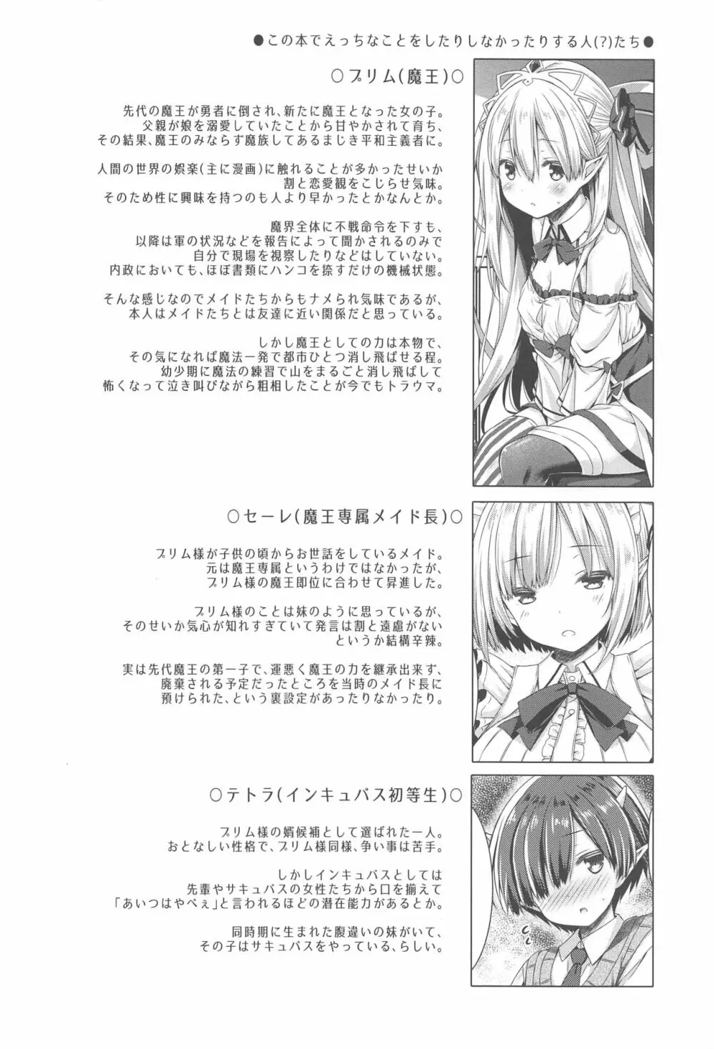 魔王さまを倒すのに勇者も聖剣も要りません。 Page.3