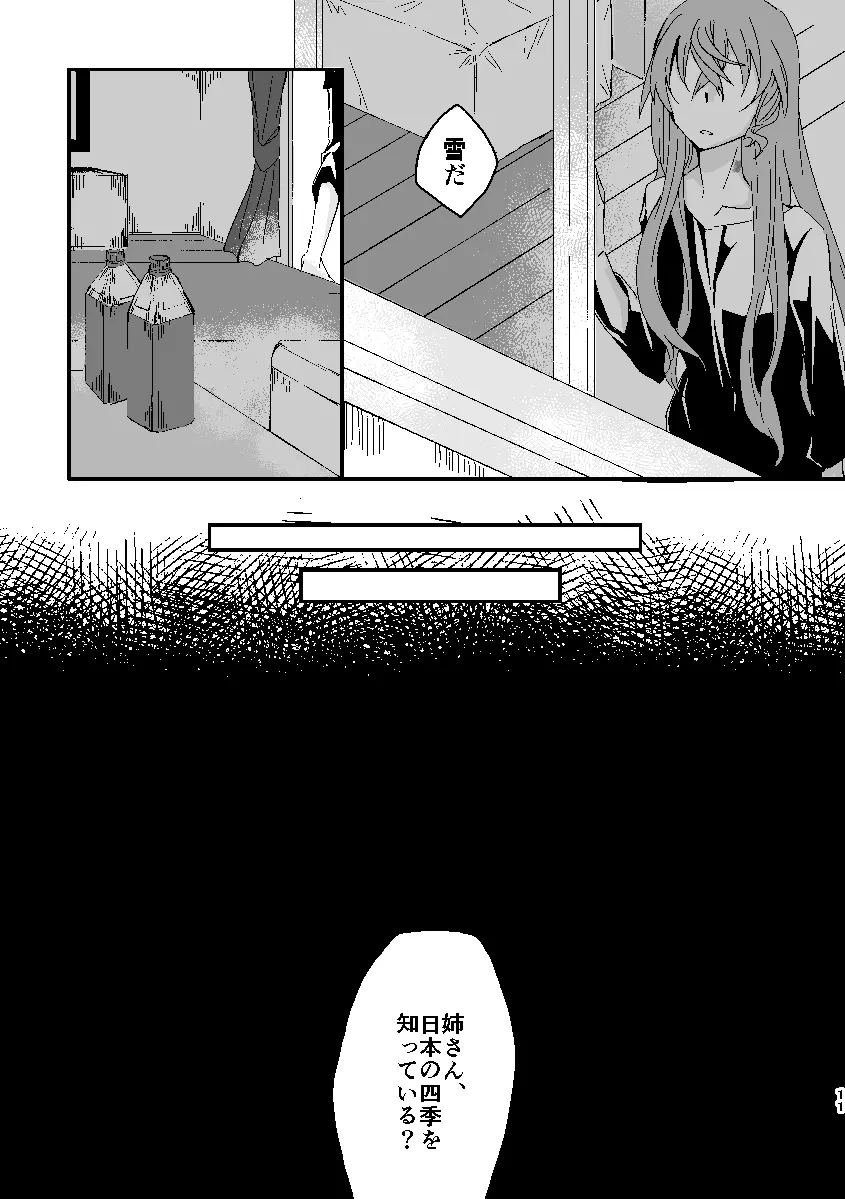 Schimmer Page.10
