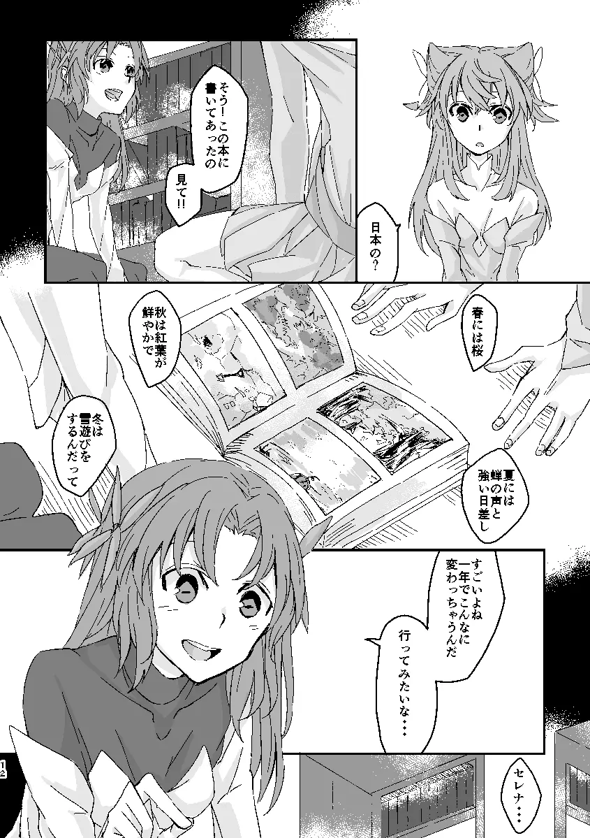 Schimmer Page.11